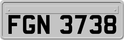 FGN3738