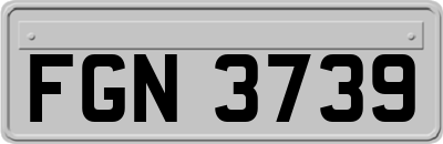FGN3739