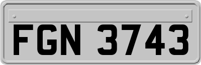 FGN3743