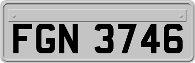 FGN3746