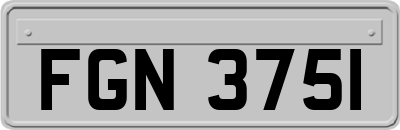 FGN3751