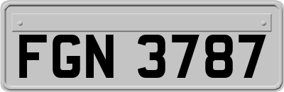 FGN3787