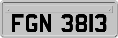 FGN3813