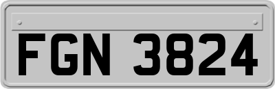 FGN3824
