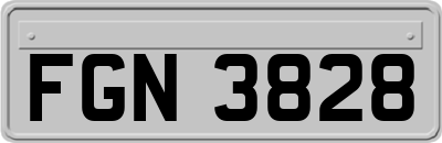 FGN3828