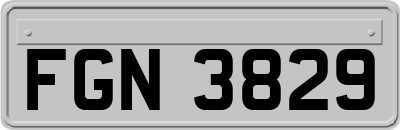 FGN3829