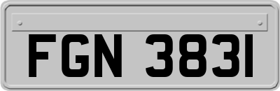 FGN3831