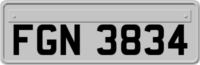 FGN3834