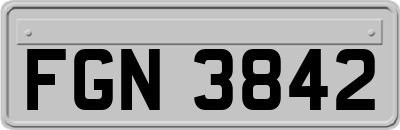 FGN3842