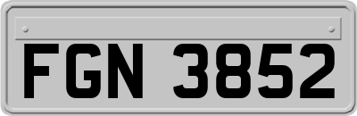 FGN3852