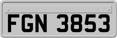FGN3853