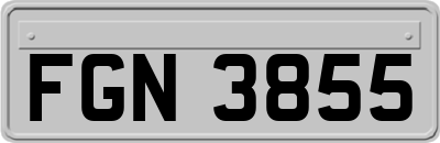 FGN3855