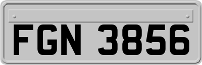 FGN3856