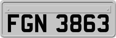 FGN3863