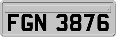 FGN3876