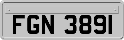 FGN3891
