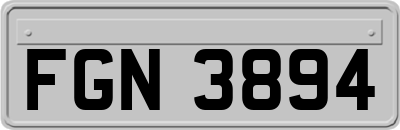 FGN3894