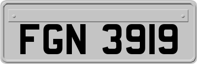 FGN3919