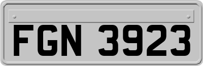 FGN3923
