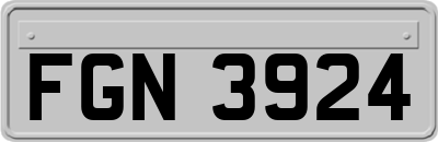 FGN3924