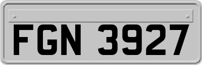 FGN3927