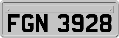 FGN3928