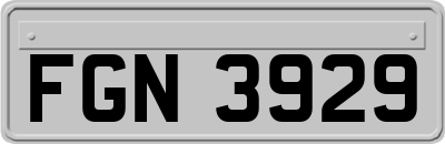 FGN3929