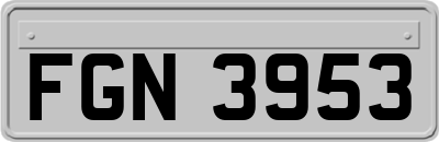 FGN3953