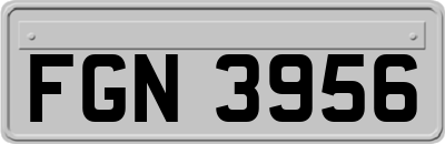 FGN3956