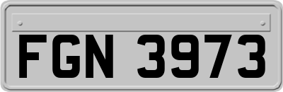FGN3973