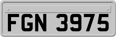 FGN3975