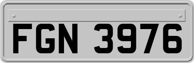 FGN3976