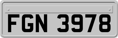 FGN3978