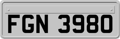 FGN3980
