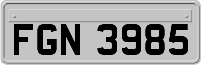 FGN3985
