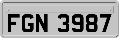 FGN3987