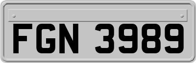 FGN3989