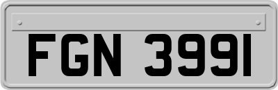 FGN3991