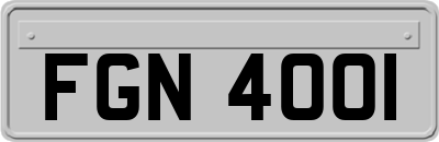 FGN4001