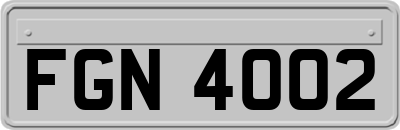 FGN4002
