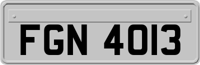 FGN4013