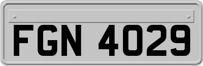 FGN4029