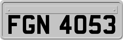 FGN4053