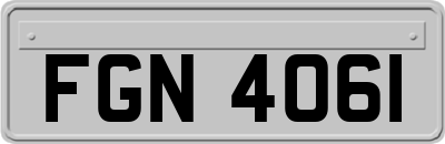 FGN4061