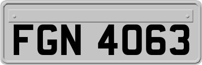 FGN4063