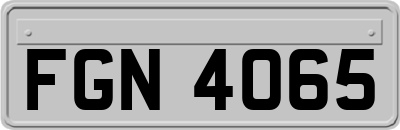 FGN4065