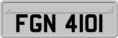 FGN4101