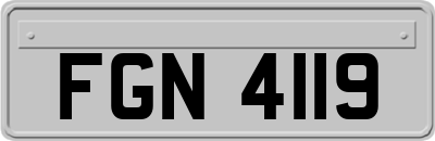 FGN4119