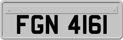 FGN4161