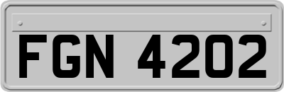 FGN4202